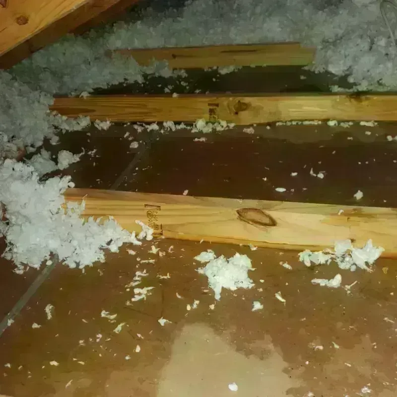 Attic Water Damage in Newington, CT